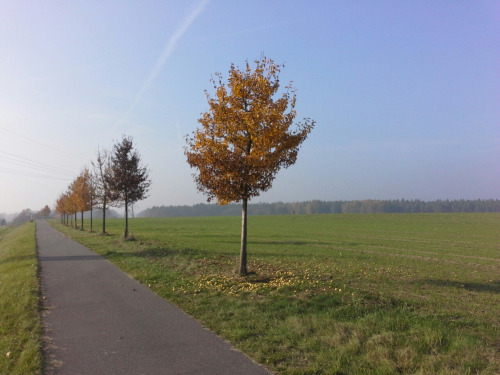 deutschland081 deutschland081