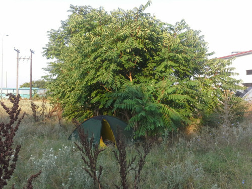 griechenlan194 griechenlan194