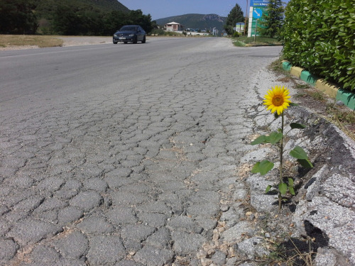 griechenland04 griechenland04