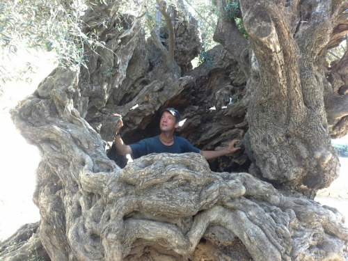 griechenland104 griechenland104