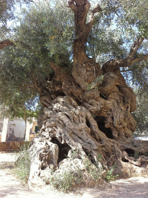 griechenland106 griechenland106