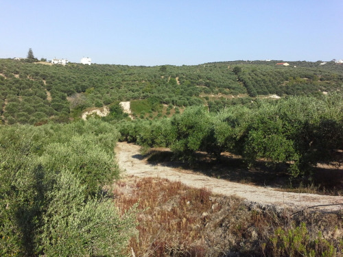 griechenland109 griechenland109