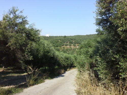 griechenland110 griechenland110