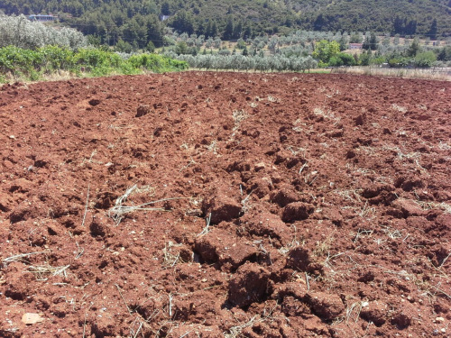 griechenland23 griechenland23