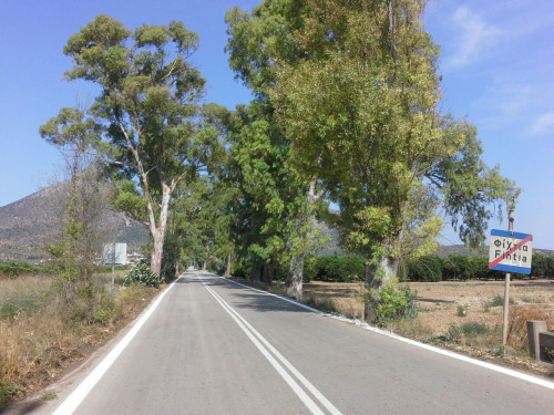 griechenland51 griechenland51