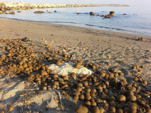 griechenland88 griechenland88