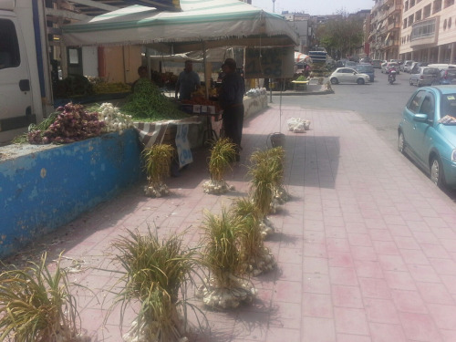 sizilien101 sizilien101