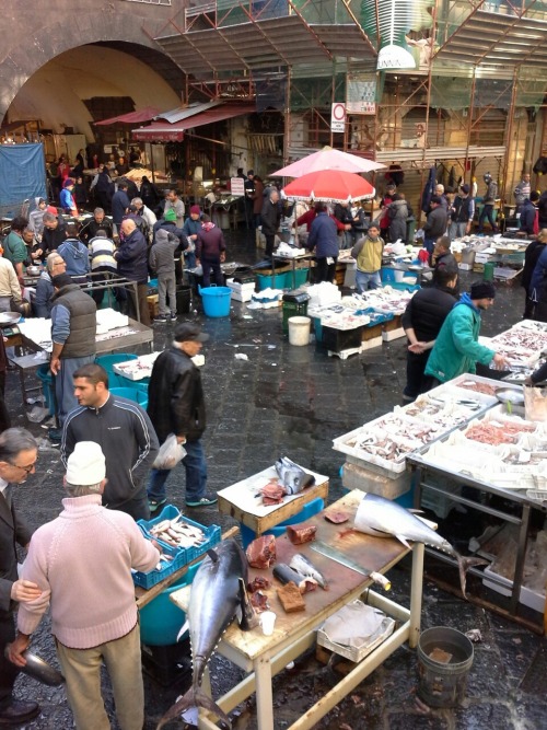 sizilien22 sizilien22