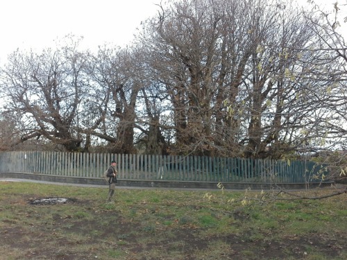 sizilien28 sizilien28