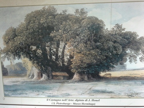 sizilien29 sizilien29