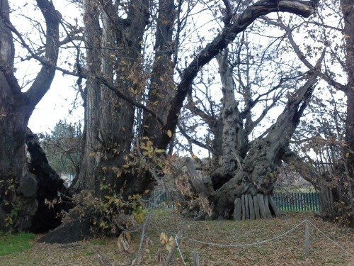 sizilien30 sizilien30