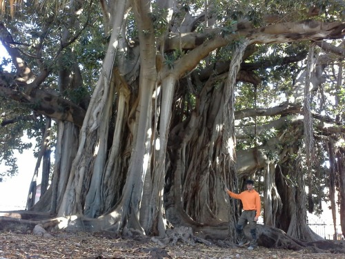 sizilien51 sizilien51