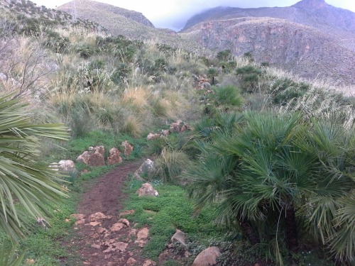 sizilien65 sizilien65