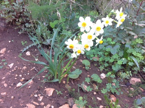 sizilien67 sizilien67