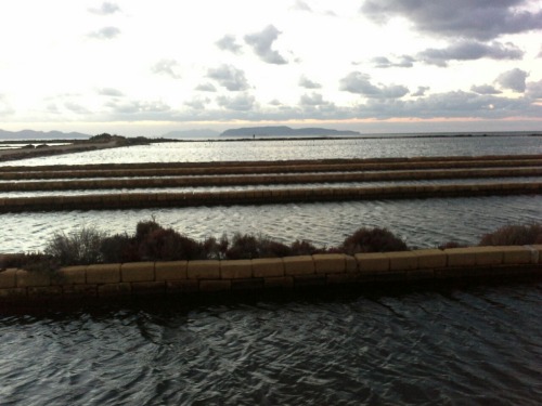 sizilien88 sizilien88