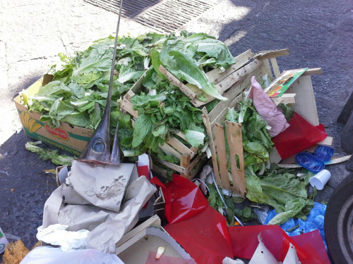 sizilien96 sizilien96