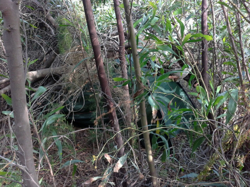 sizilien98 sizilien98